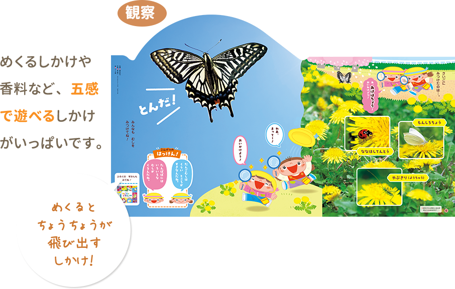 めくるしかけや香料など、五感で遊べるしかけがいっぱいです。