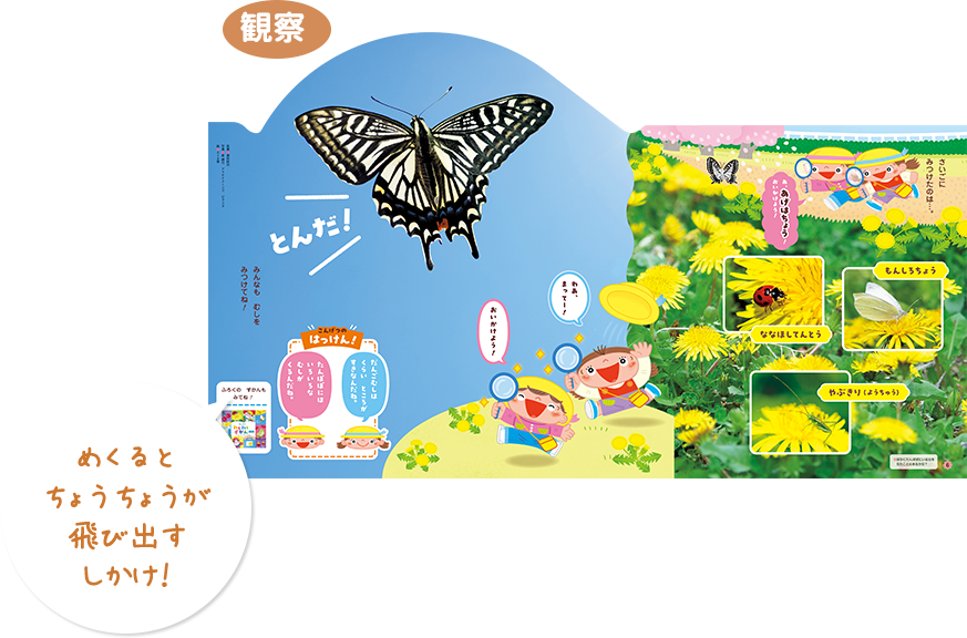 めくるしかけや香料など、五感で遊べるしかけがいっぱいです。