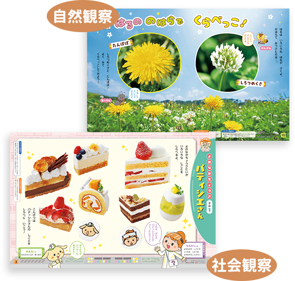 身近な自然や、社会のしくみ、お仕事を紹介。自分のまわりの世界を知ることができます。