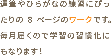 運筆やひらがなの練習にぴったりの8ページのワークです。毎月届くので学習の習慣化にもなります！