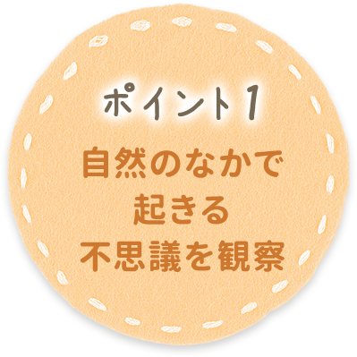 ポイント1 自然のなかで起きる不思議を観察