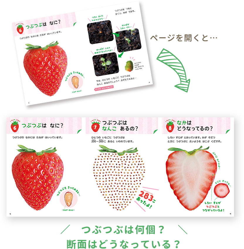 自分たちが生きている環境のなかにある、命のたいせつさやしくものおもしろさに目を向けさせます。こどもの好奇心や探求心を引き出し、考える力を育みます。