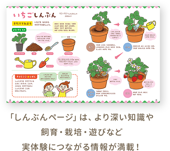 導入につかいやすいクイズ、欄外のことばかけの参考はアイコンマークでわかりやすく。「しんぶんページ」では実体験につながるヒントを紹介しています。