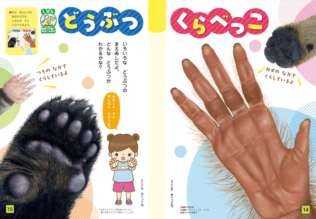 動物の前足の特徴をご紹介！