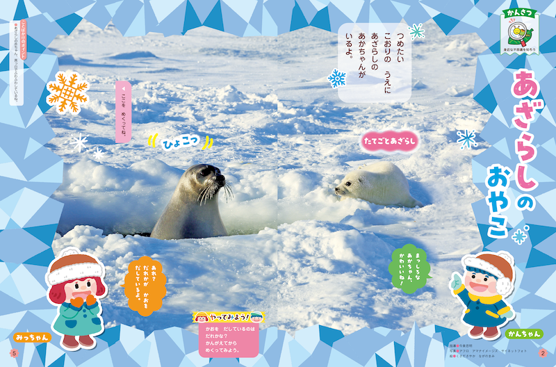 氷の世界で暮らすあざらしの親子を紹介します