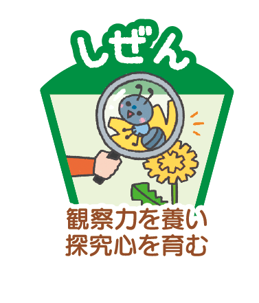 ポイント