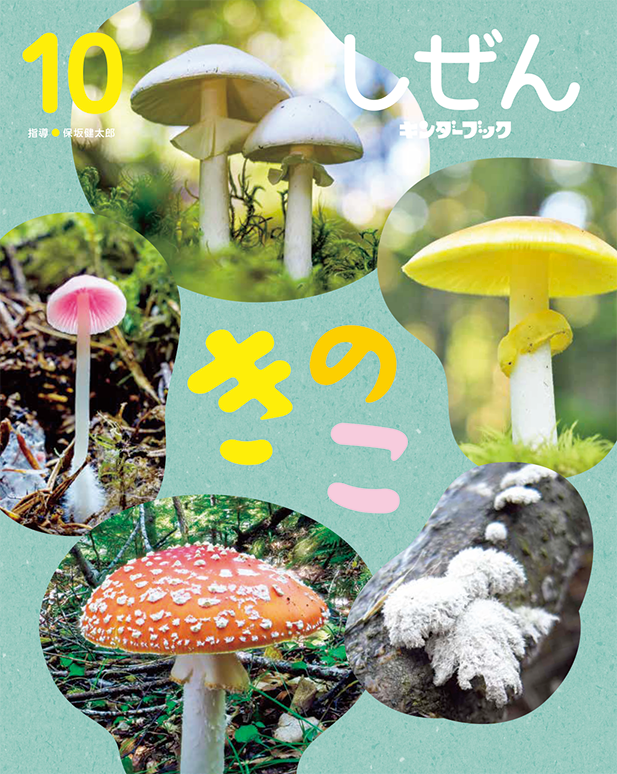 しぜん-キンダーブック - フレーベル館の月刊保育絵本