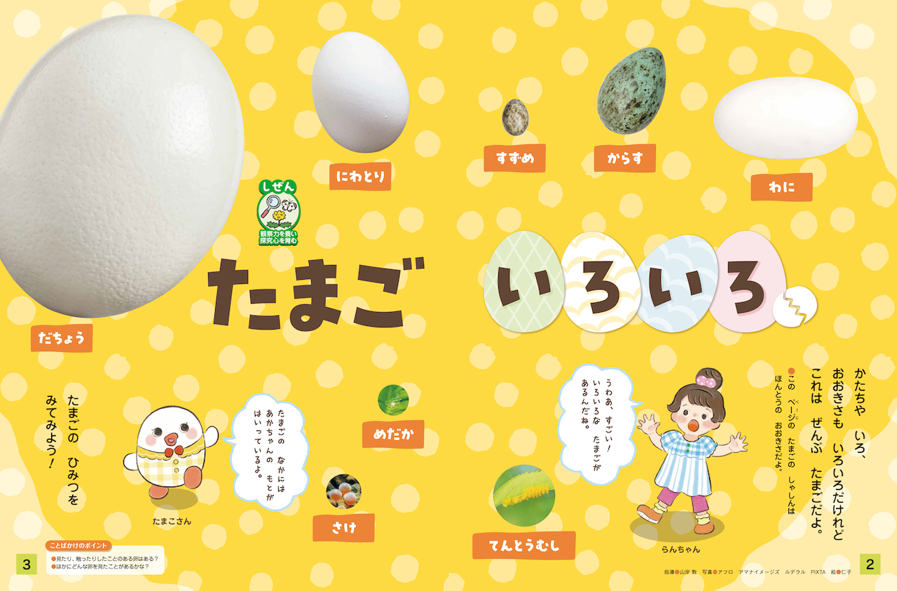 たまごの秘密をご紹介！