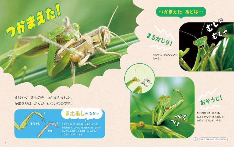 サンプル画像