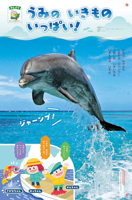 海の生き物をワイドページで紹介します