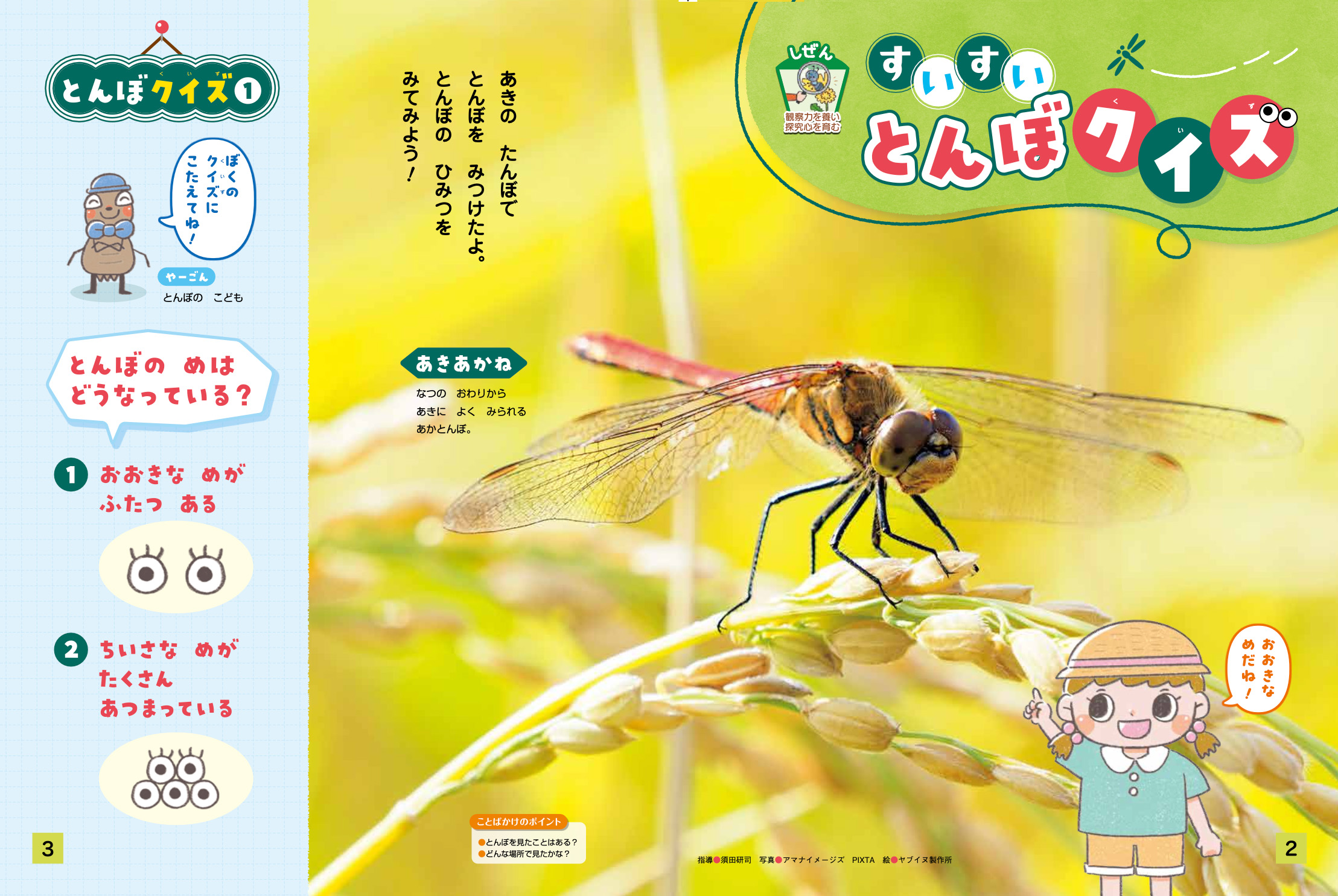 とんぼのクイズを楽しみましょう