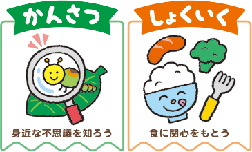 ポイント