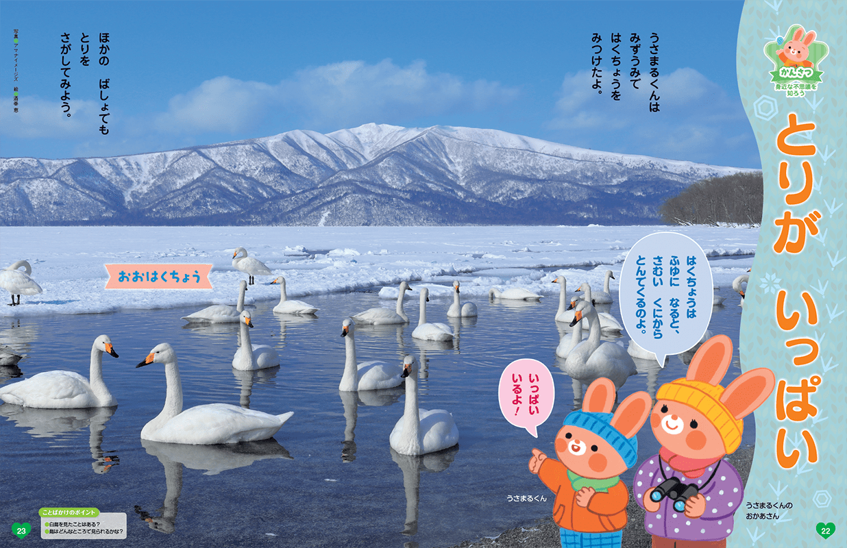 冬の鳥を観察しましょう