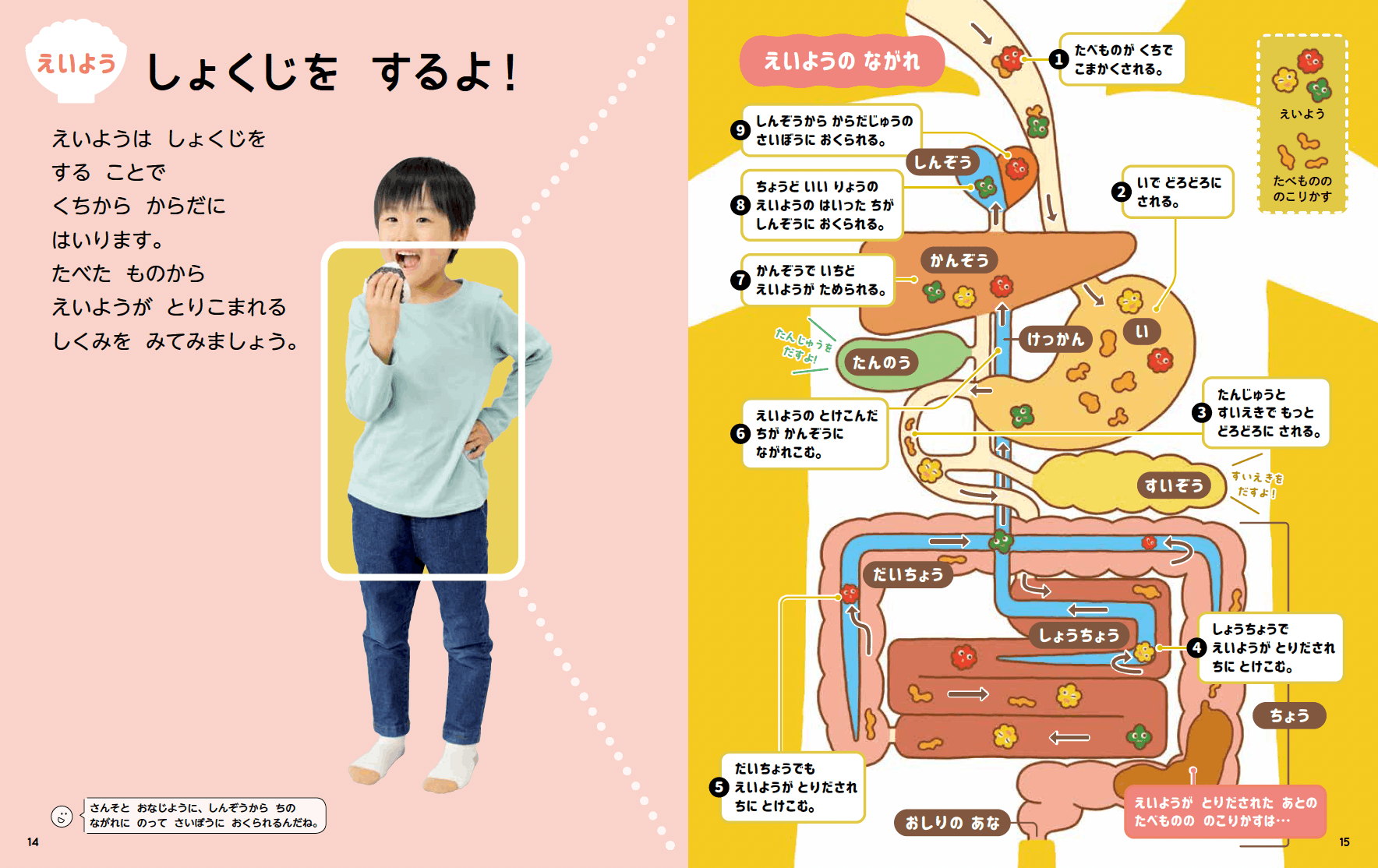 サンプル画像