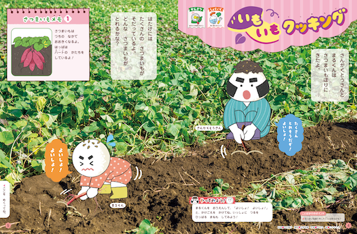 観察と調理の視点からさつまいもを紹介！