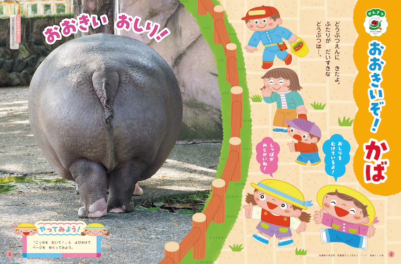 ダイナミックなしかけでカバへの興味を高めます