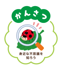 ポイント