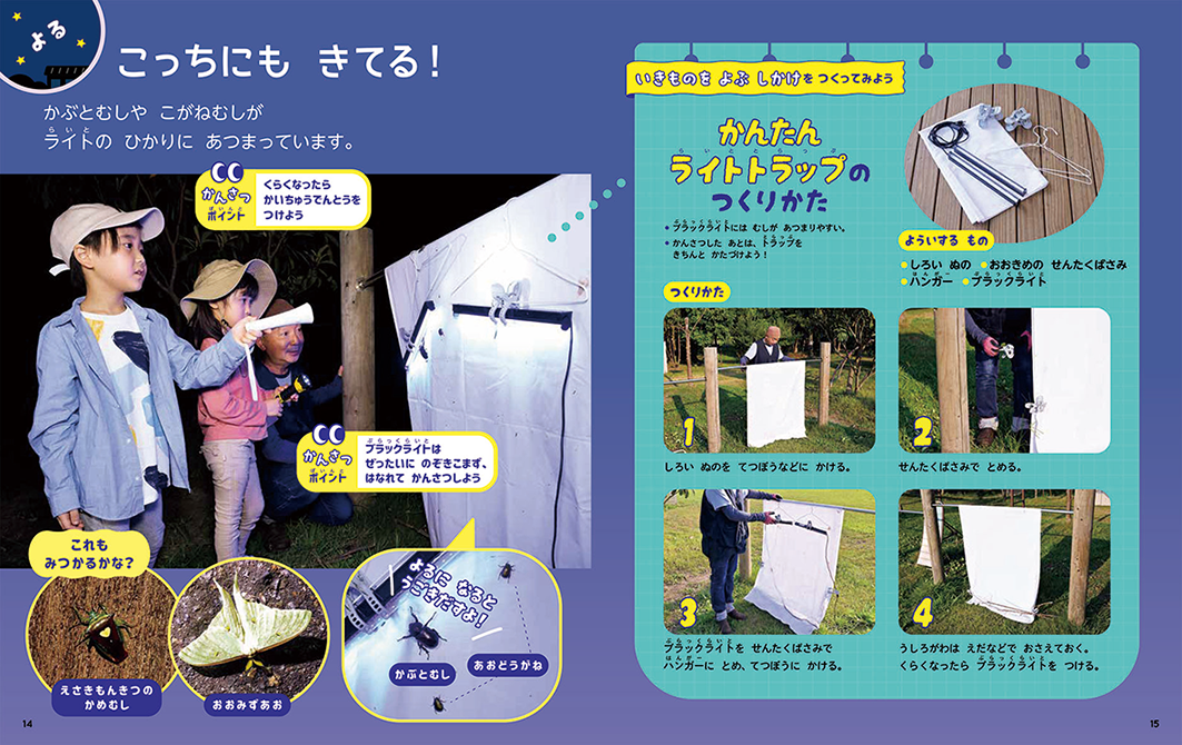 サンプル画像