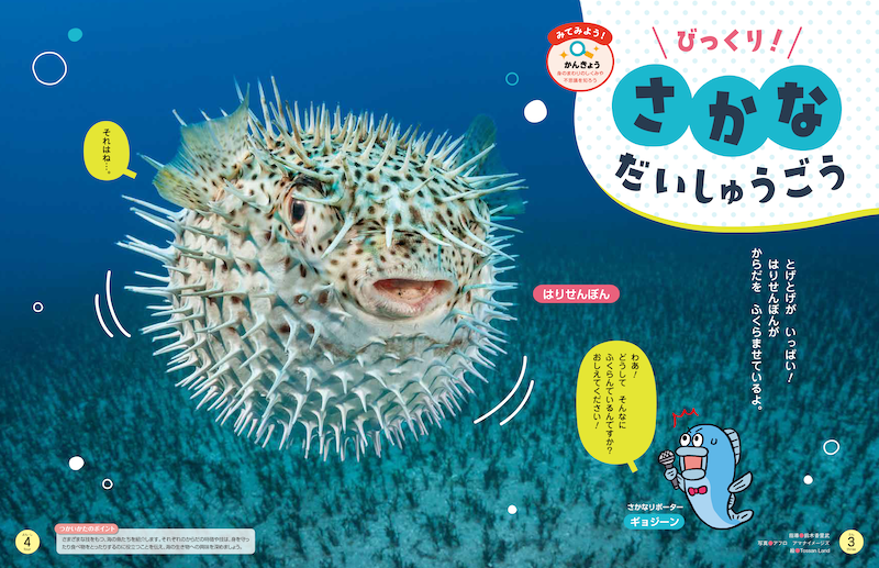 魚たちのおどろきの生態を紹介！