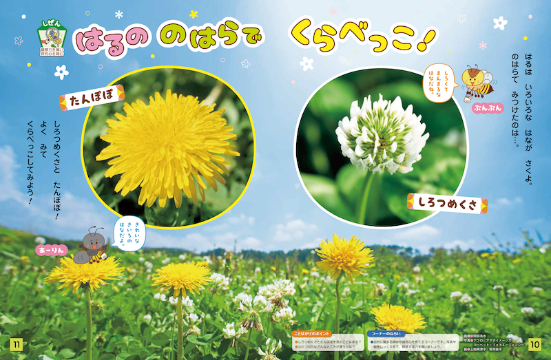 身近な草花を見比べながら、観察力を養います