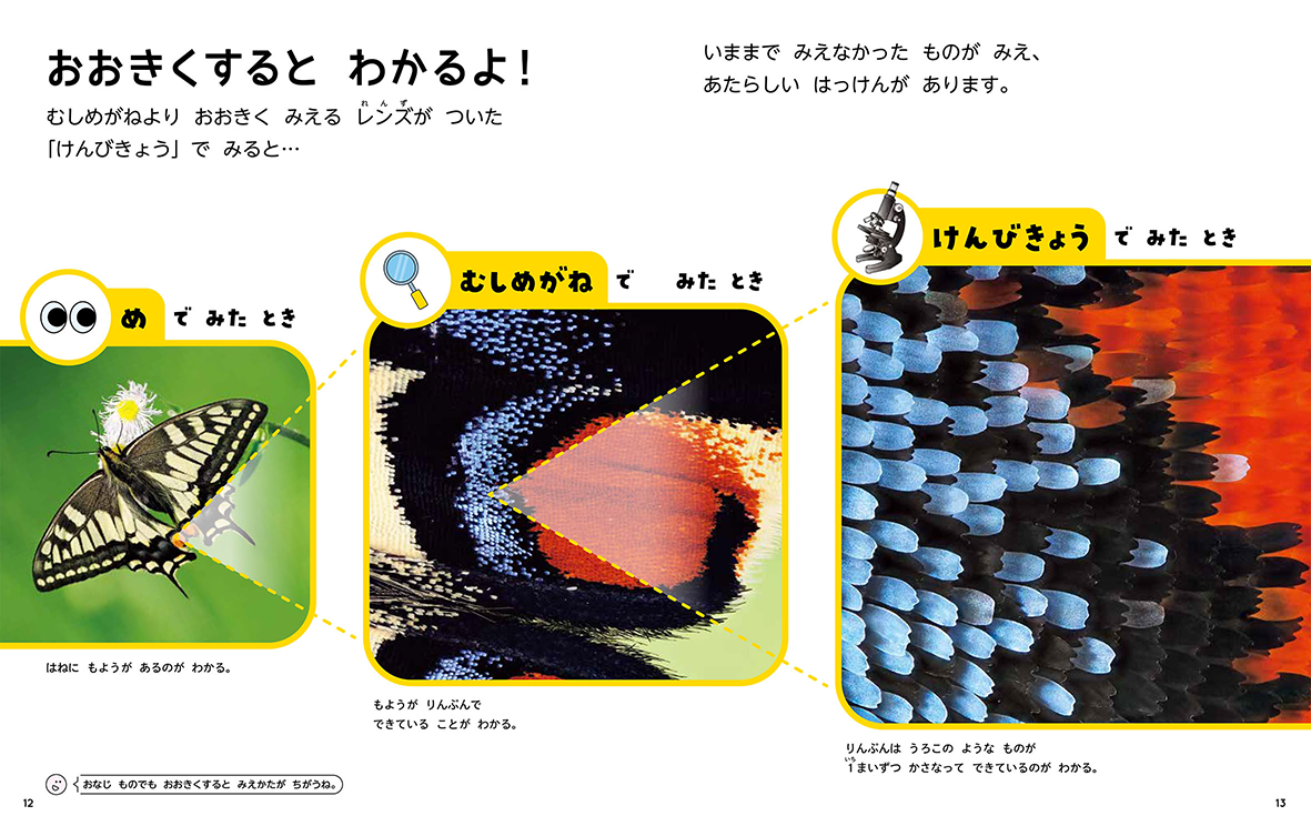 サンプル画像