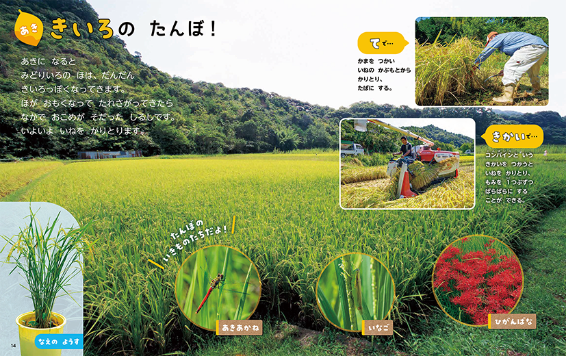 サンプル画像