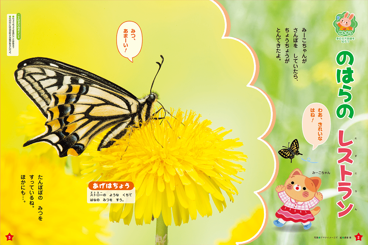 春の虫や花について興味を広げましょう