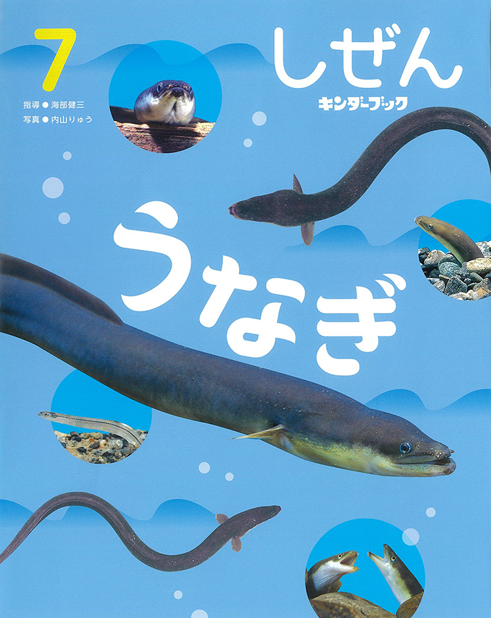 しぜん-キンダーブック 7月号