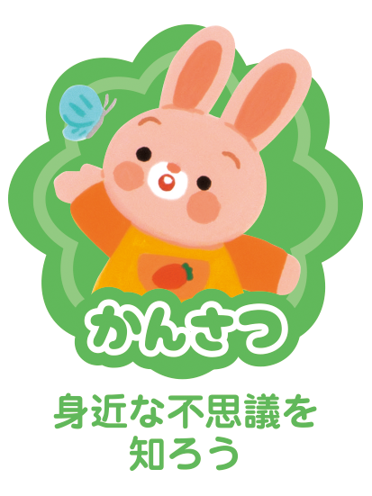 ポイント