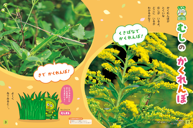 昆虫の擬態する技をご紹介!