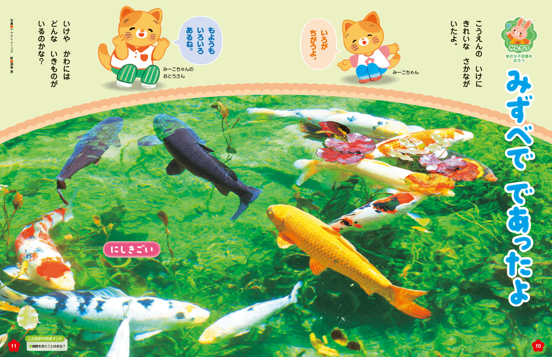 水辺の生き物いろいろ