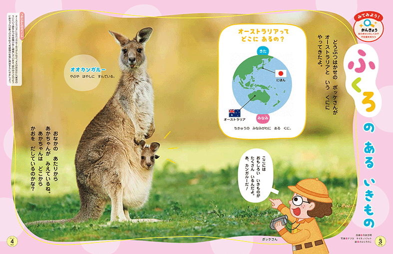 袋のある生き物の生態を紹介