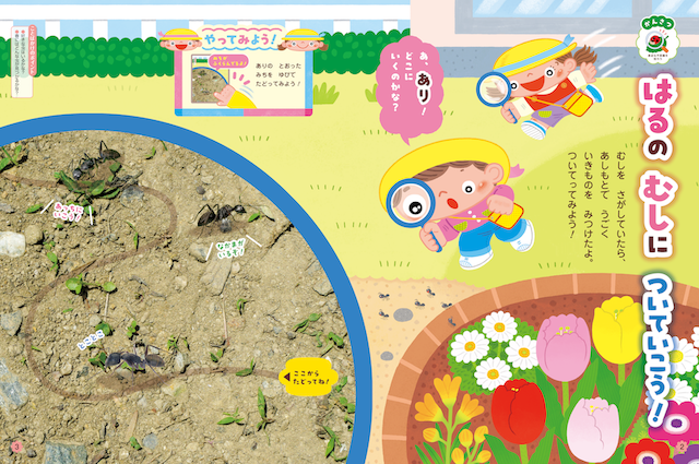 しかけを楽しみながら、春の虫について伝えます