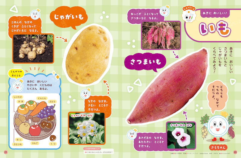 秋が旬の芋を比べます