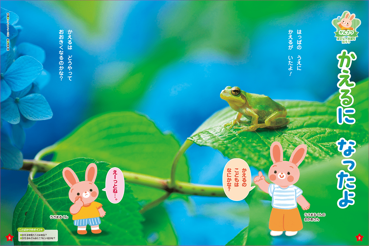 かえるの子どもはおたまじゃくし