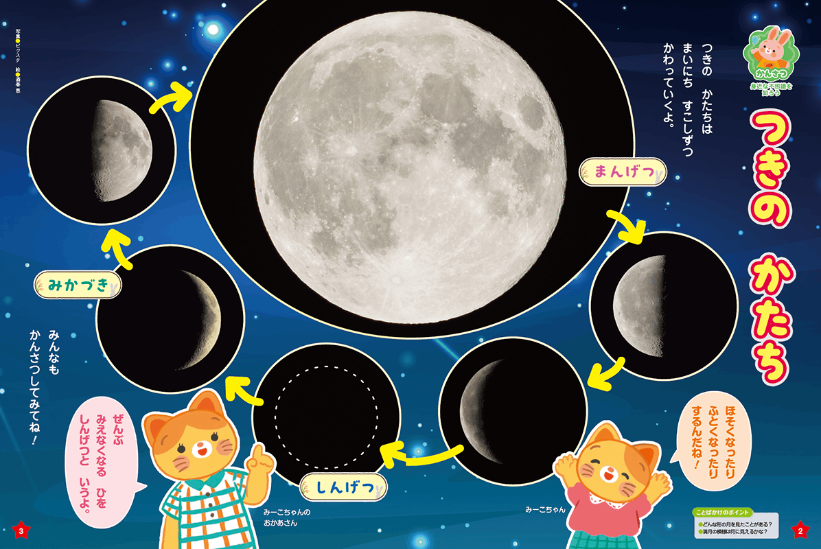 月やお月見に興味をもたせます