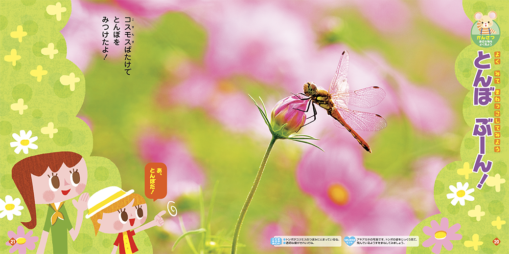 秋に見られる虫に関心をもたせます