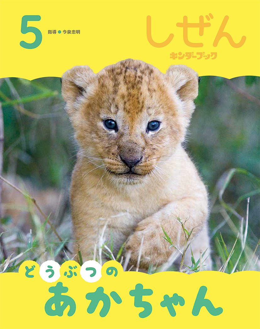 しぜん-キンダーブック